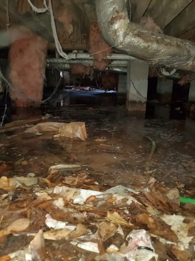 Crawl space flood assessment for Leak Detection & Repair in Pasadena